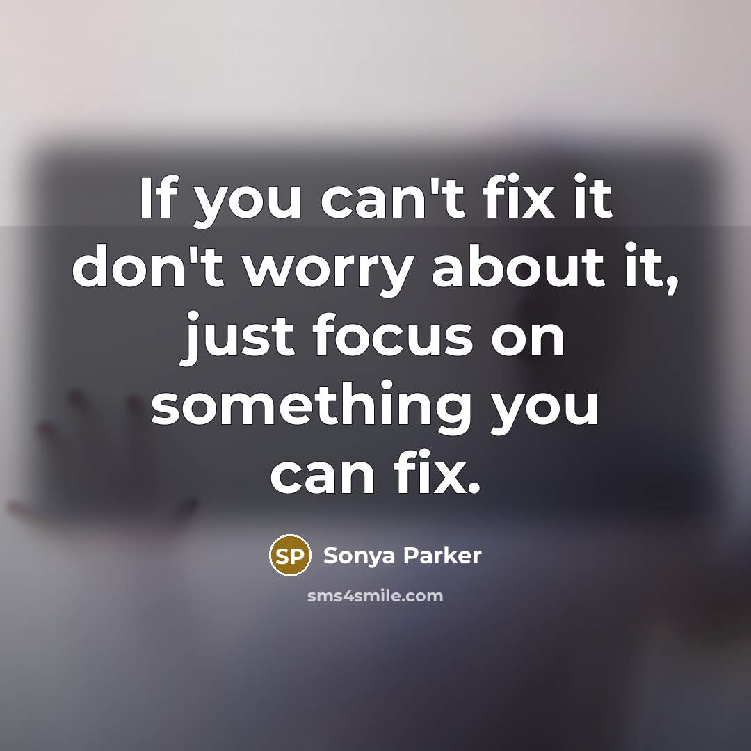 “If you can't fix it don't worry about it, just focus on something you can fix.” quote by SONYA PARKER