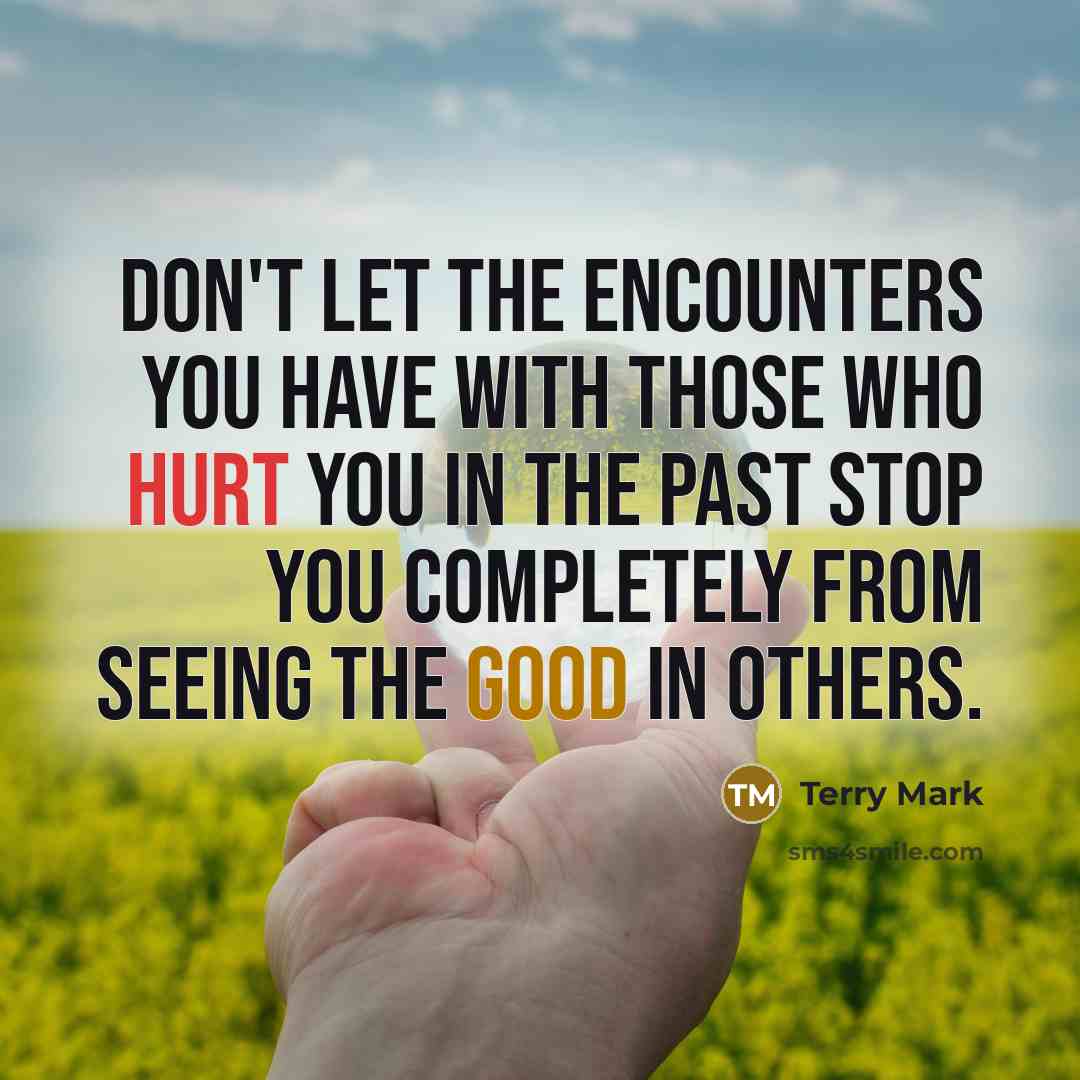 “Don't let the encounters you have with those who hurt you in the past stop you completely from seeing the good in others.” quote by Terry Mark
