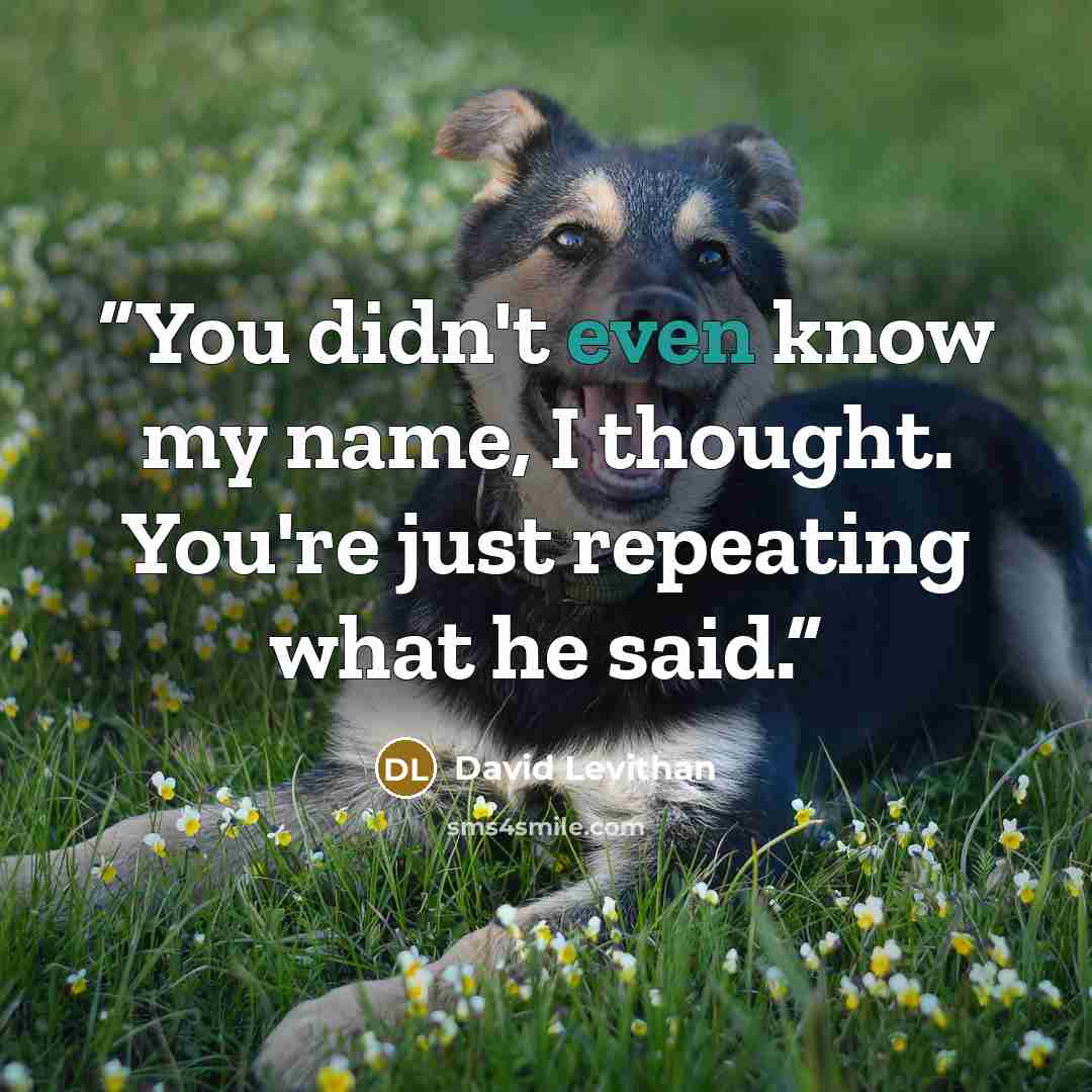 “You didn't even know my name, I thought. You're just repeating what he said.” quote by David Levithan