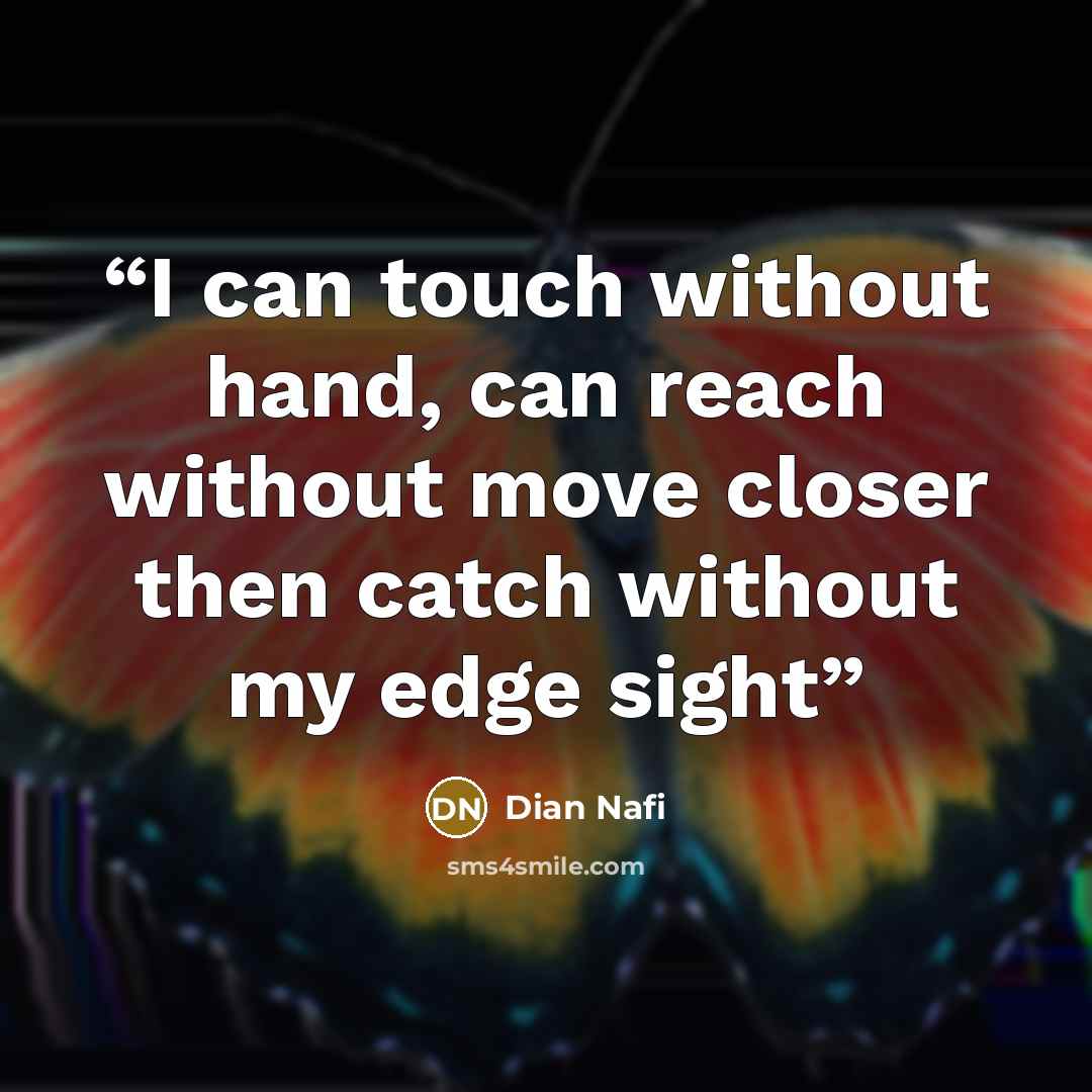 “I can touch without hand, can reach without move closer then catch without my edge sight” quote by Dian Nafi