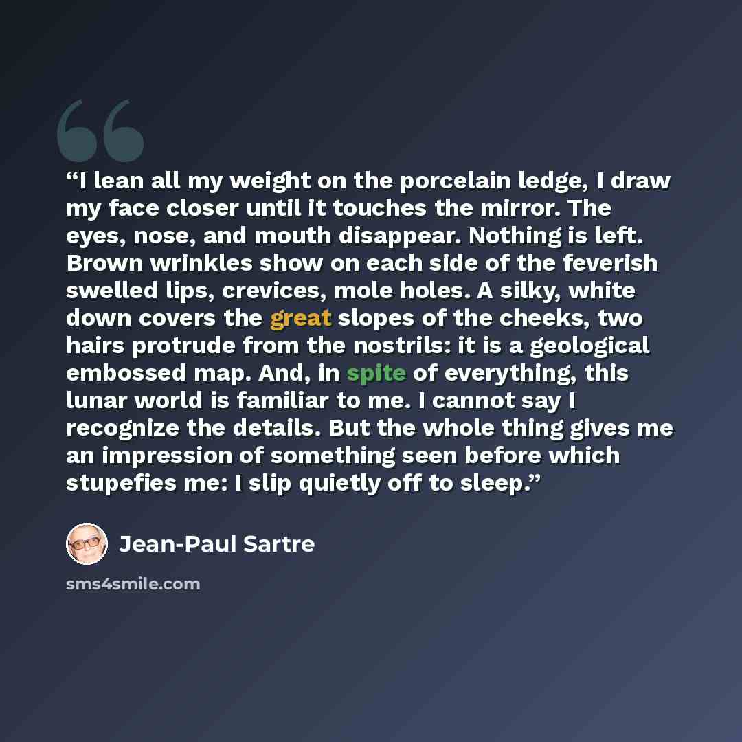 “I lean all my weight on the porcelain ledge, I draw my face closer until it touches the mirror. The eyes, nose, and mouth disappear. Nothing is left. Brown wrinkles show on each side of the feverish swelled lips, crevices, mole holes. A silky, white down covers the great slopes of the cheeks, two…” quote by Jean-Paul Sartre