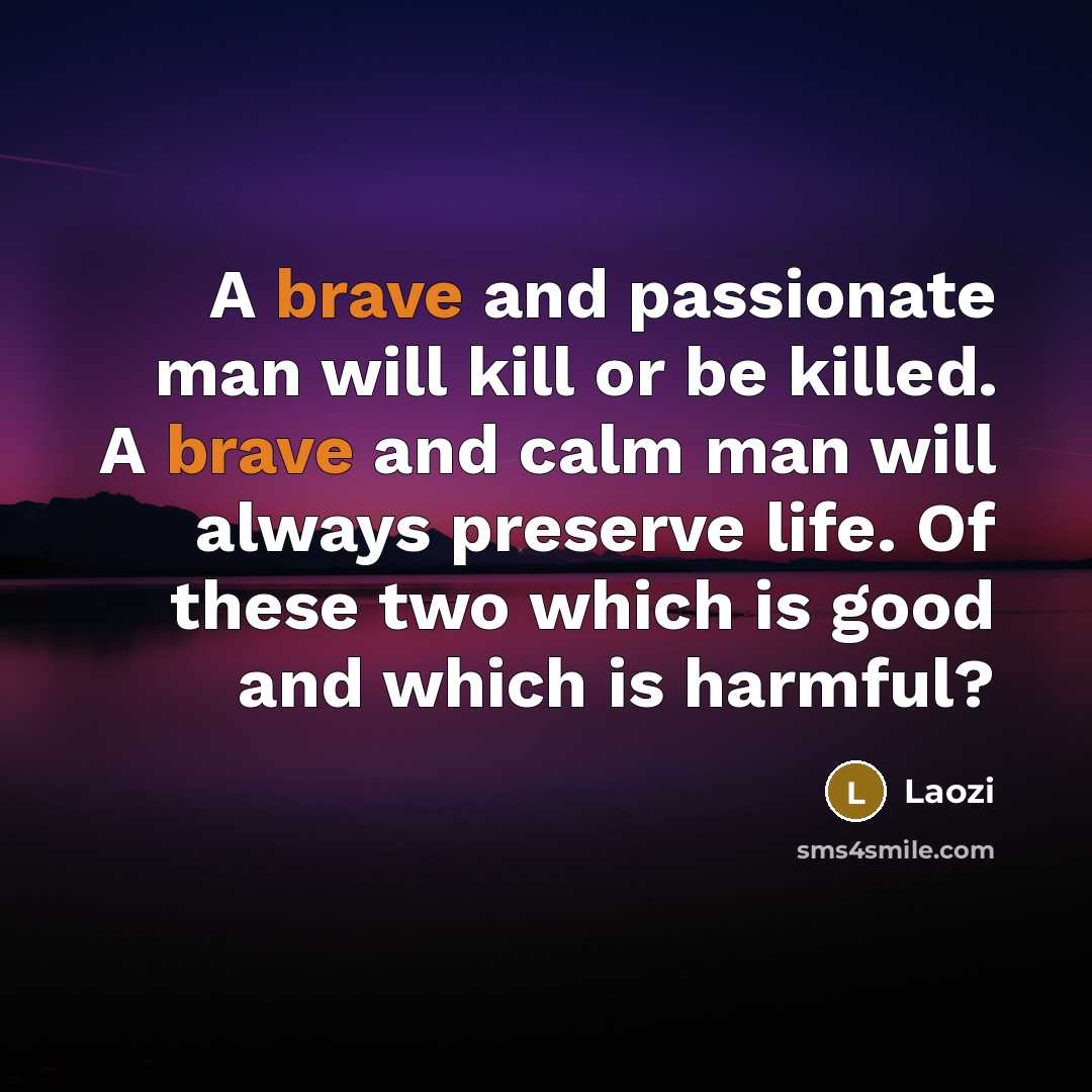 “A brave and passionate man will kill or be killed. A brave and calm man will always preserve life. Of these two which is good and which is harmful?” quote by Laozi