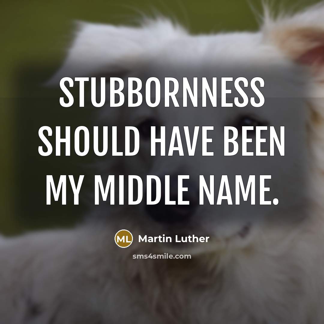 “Stubbornness should have been my middle name.” quote by Martin Luther