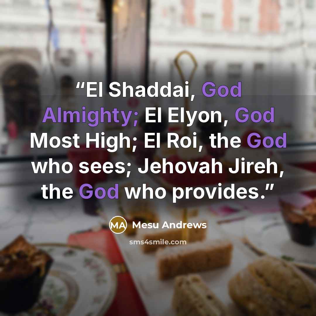 “El Shaddai, God Almighty; El Elyon, God Most High; El Roi, the God who sees; Jehovah Jireh, the God who provides.” quote by Mesu Andrews