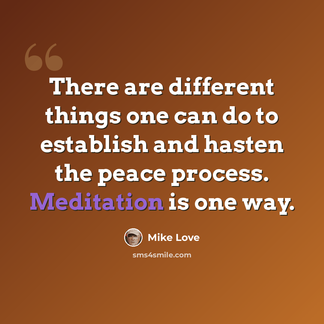 “There are different things one can do to establish and hasten the peace process. Meditation is one way.” quote by Mike Love
