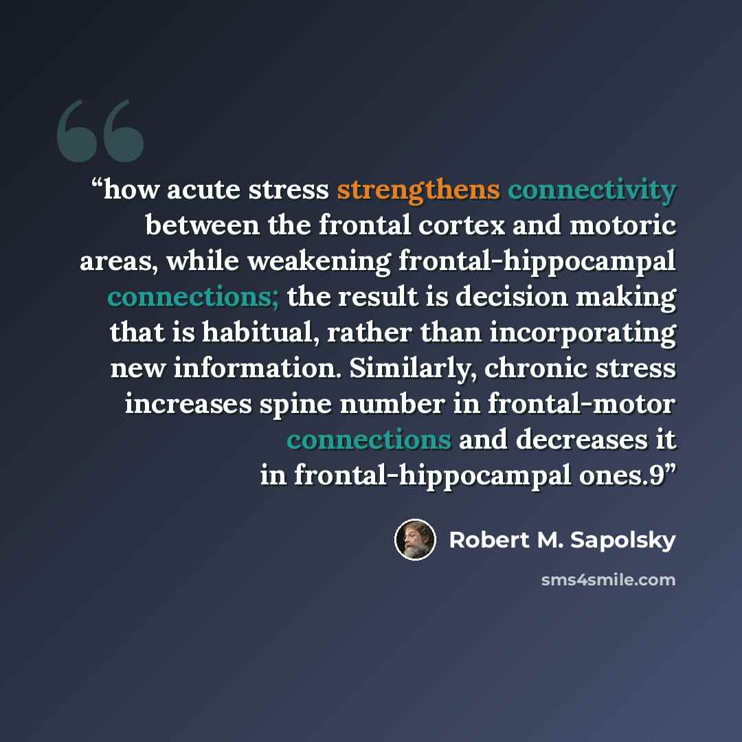 “how acute stress strengthens connectivity between the frontal cortex and motoric areas, while weakening frontal-hippocampal connections; the result is decision making that is habitual, rather than incorporating new information. Similarly, chronic stress increases spine number in frontal-motor…” quote by Robert M. Sapolsky