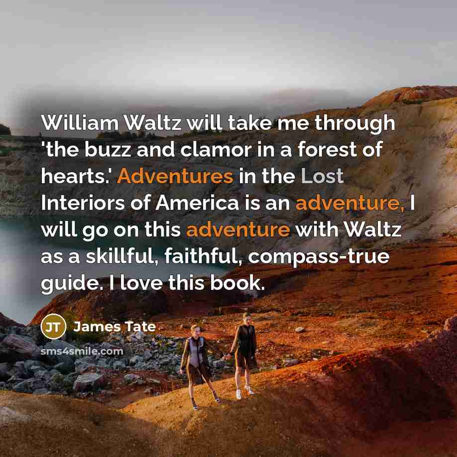 “William Waltz will take me through 'the buzz and clamor in a forest of hearts.' Adventures in the Lost Interiors of America is an adventure, I will go on this adventure with Waltz as a skillful, faithful, compass-true guide. I love this book.” quote by James Tate