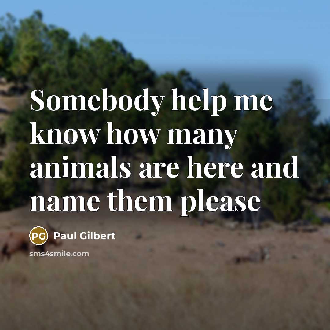 “Somebody help me know how many animals are here and name them please” quote by Paul Gilbert