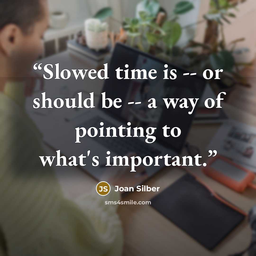 “Slowed time is -- or should be -- a way of pointing to what's important.” quote by Joan Silber