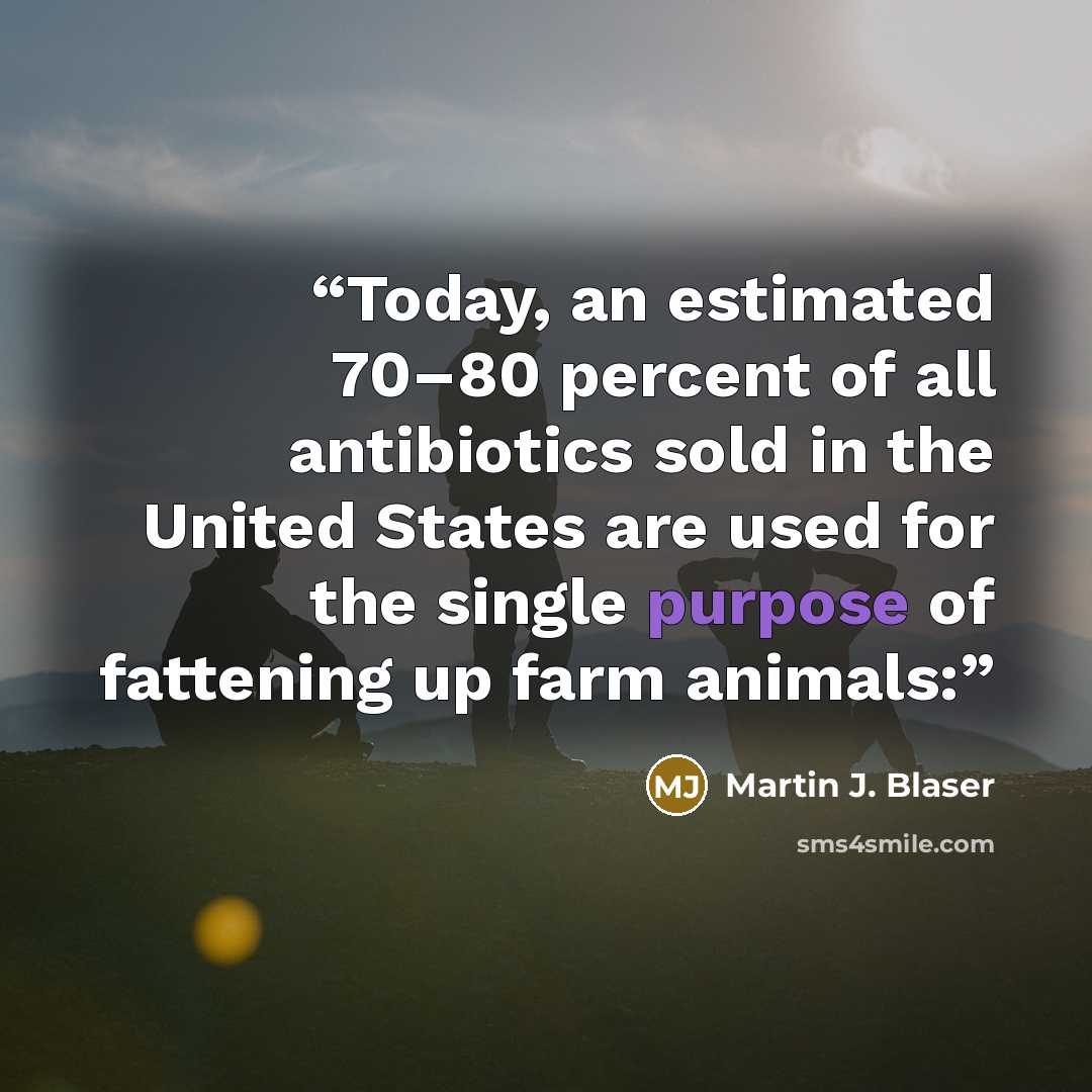 “Today, an estimated 70–80 percent of all antibiotics sold in the United States are used for the single purpose of fattening up farm animals:” quote by Martin J. Blaser