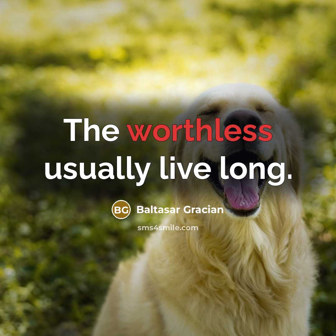 “The worthless usually live long.” quote by Baltasar Gracian