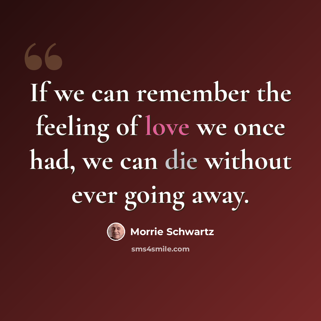 “If we can remember the feeling of love we once had, we can die without ever going away.” quote by Morrie Schwartz