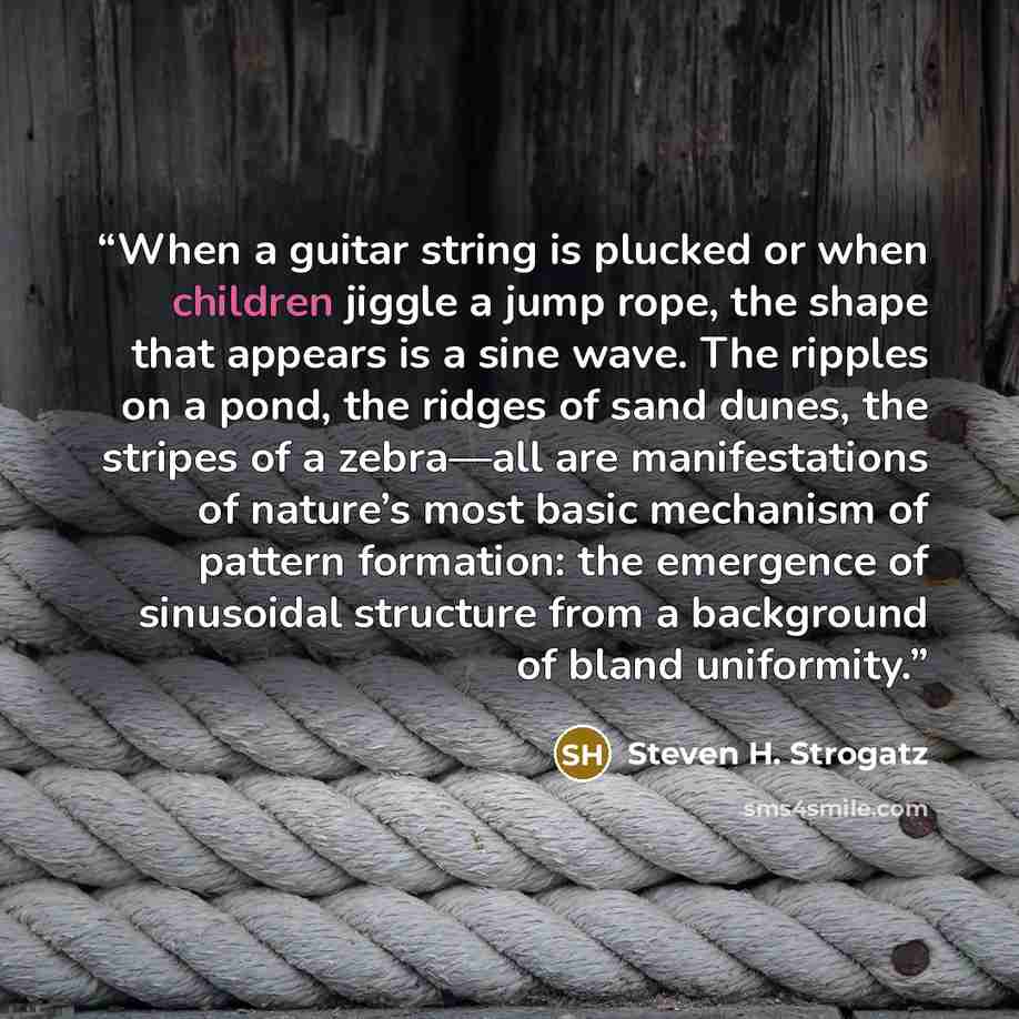 “When a guitar string is plucked or when children jiggle a jump rope, the shape that appears is a sine wave. The ripples on a pond, the ridges of sand dunes, the stripes of a zebra—all are manifestations of nature’s most basic mechanism of pattern formation: the emergence of sinusoidal structure…” quote by Steven H. Strogatz