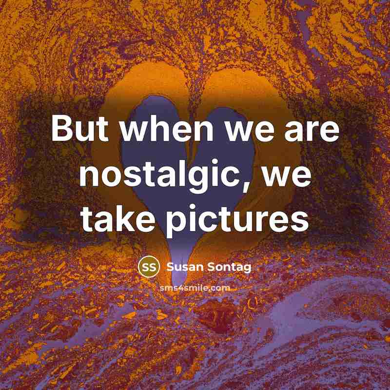 “But when we are nostalgic, we take pictures” quote by Susan Sontag