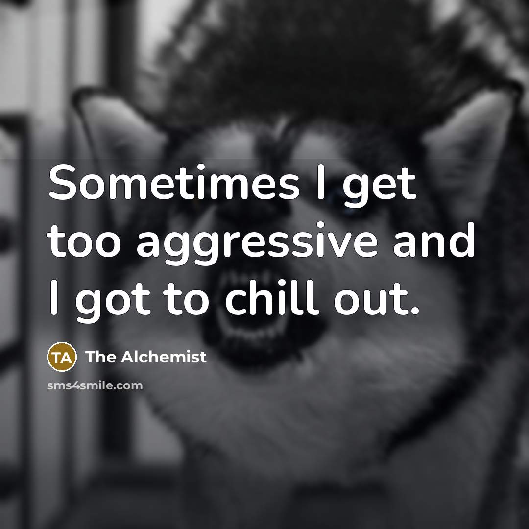 “Sometimes I get too aggressive and I got to chill out.” quote by The Alchemist