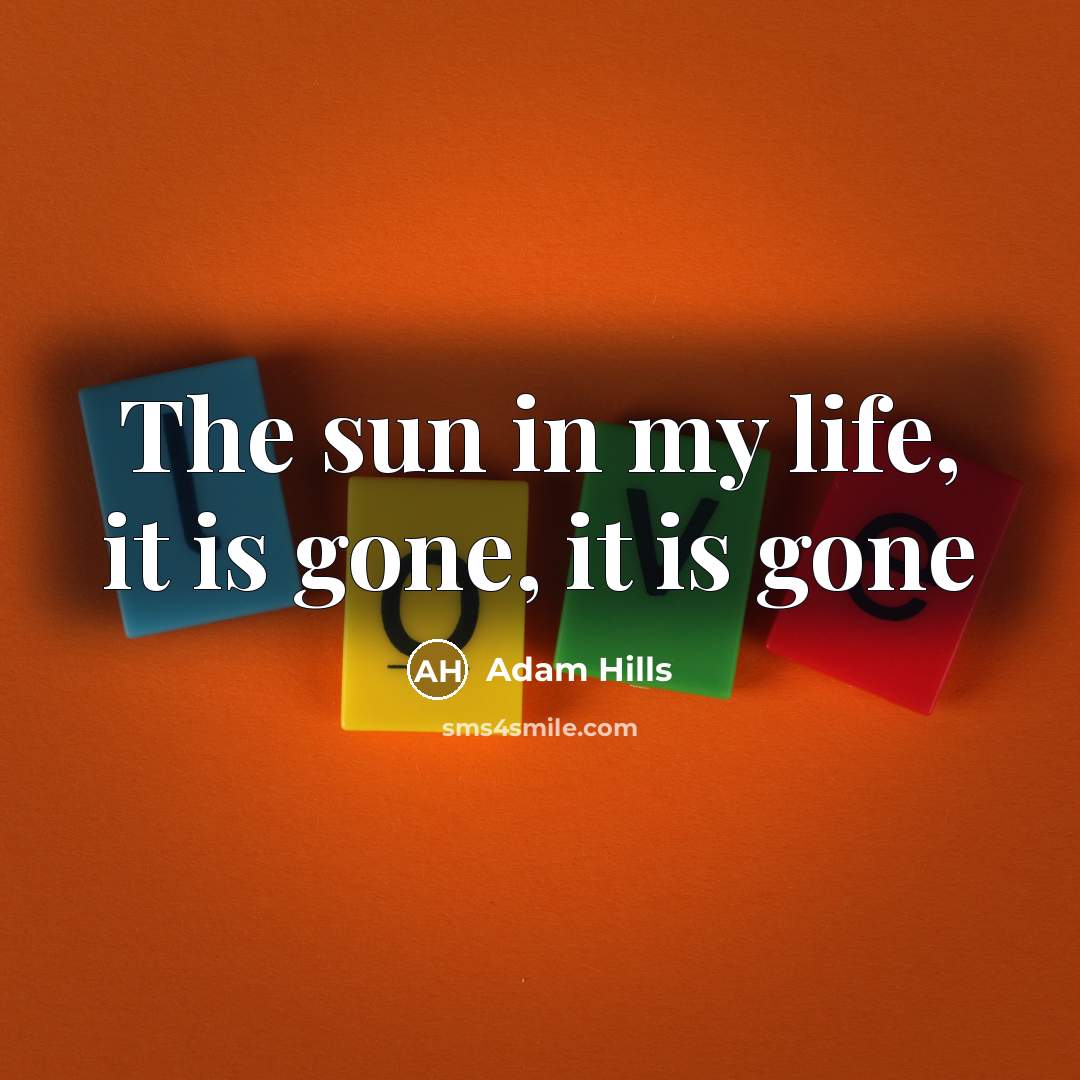 “The sun in my life, it is gone, it is gone” quote by Adam Hills