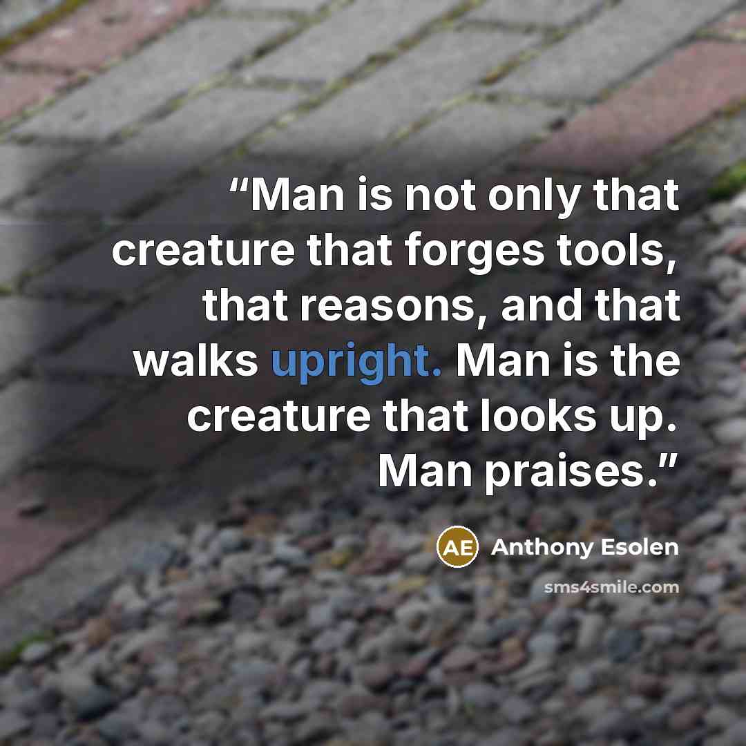 “Man is not only that creature that forges tools, that reasons, and that walks upright. Man is the creature that looks up. Man praises.” quote by Anthony Esolen