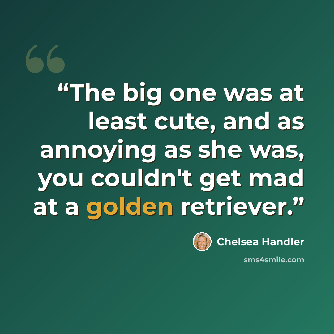 “The big one was at least cute, and as annoying as she was, you couldn't get mad at a golden retriever.” quote by Chelsea Handler