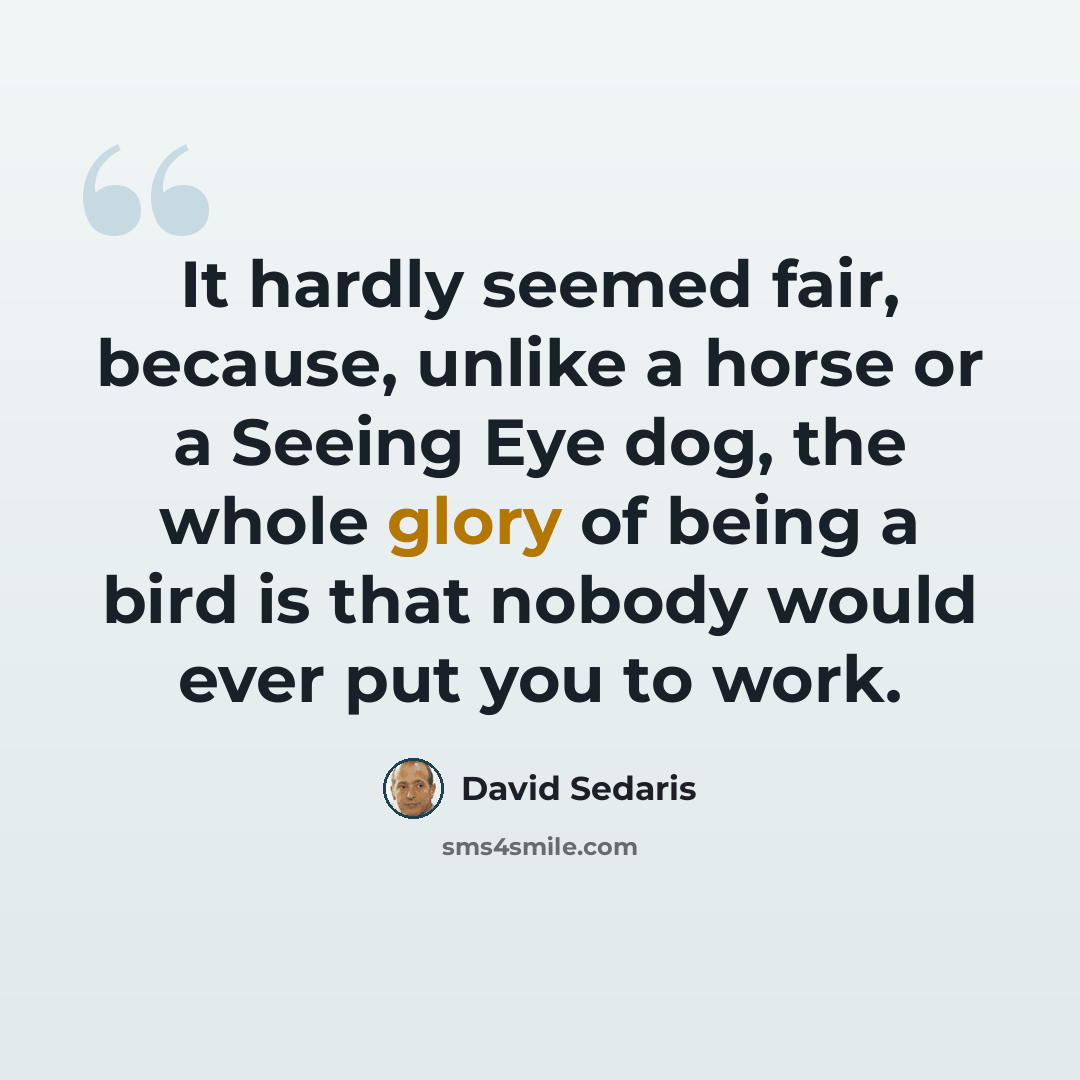 “It hardly seemed fair, because, unlike a horse or a Seeing Eye dog, the whole glory of being a bird is that nobody would ever put you to work.” quote by David Sedaris
