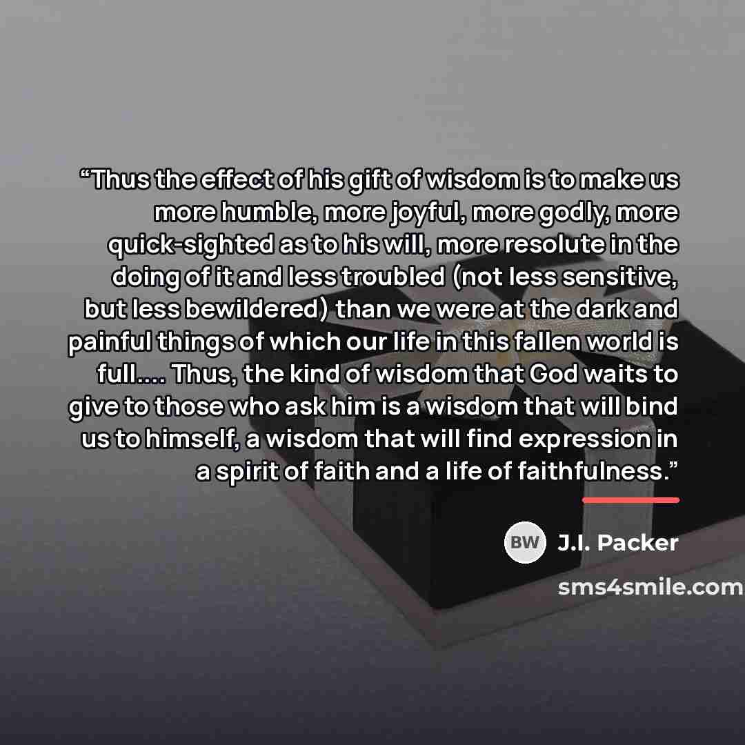 “Thus the effect of his gift of wisdom is to make us more humble, more joyful, more godly, more quick-sighted as to his will, more resolute in the doing of it and less troubled (not less sensitive, but less bewildered) than we were at the dark and painful things of which our life in this fallen…” quote by J.I. Packer