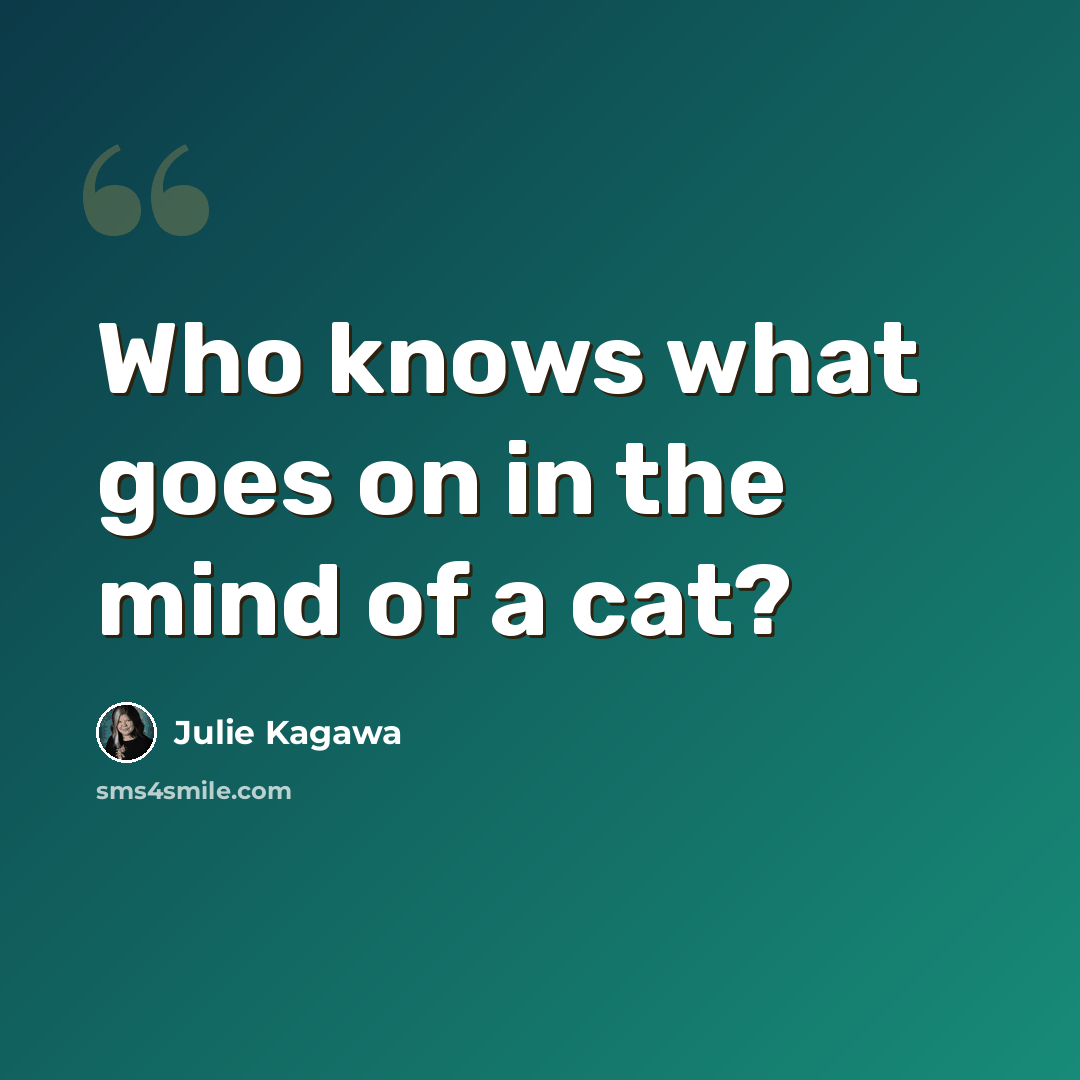 “Who knows what goes on in the mind of a cat?” quote by Julie Kagawa