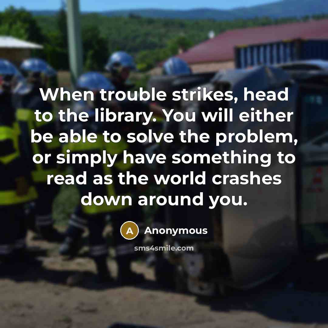 “When trouble strikes, head to the library. You will either be able to solve the problem, or simply have something to read as the world crashes down around you.” quote by Anonymous