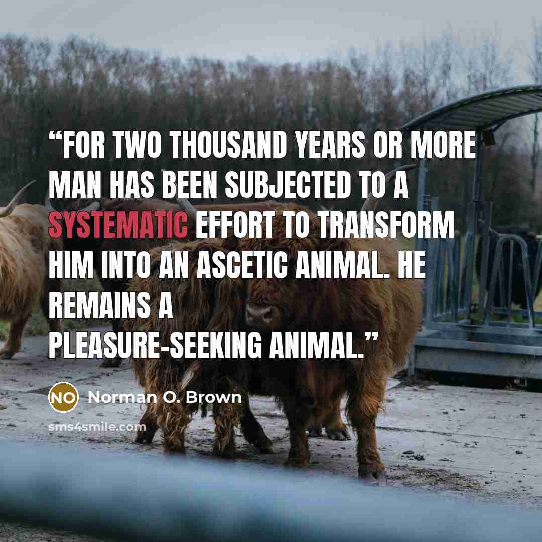 “For two thousand years or more man has been subjected to a systematic effort to transform him into an ascetic animal. He remains a pleasure-seeking animal.” quote by Norman O. Brown