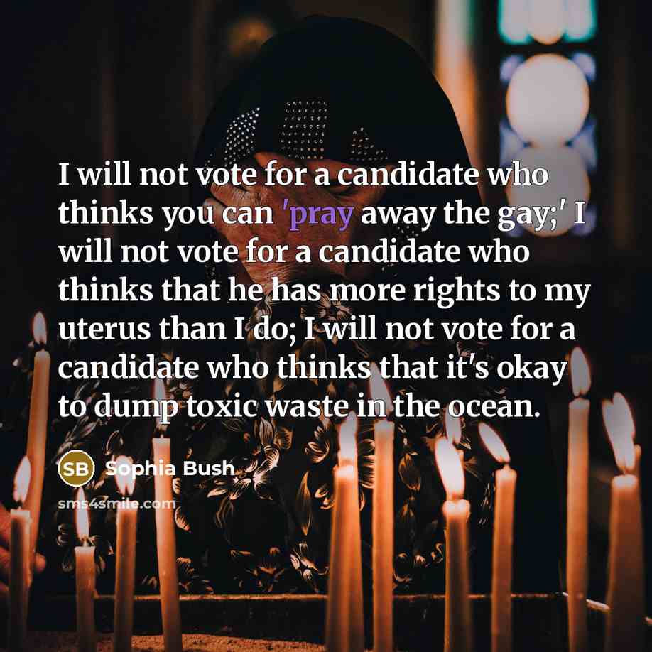 “I will not vote for a candidate who thinks you can 'pray away the gay;' I will not vote for a candidate who thinks that he has more rights to my uterus than I do; I will not vote for a candidate who thinks that it's okay to dump toxic waste in the ocean.” quote by Sophia Bush