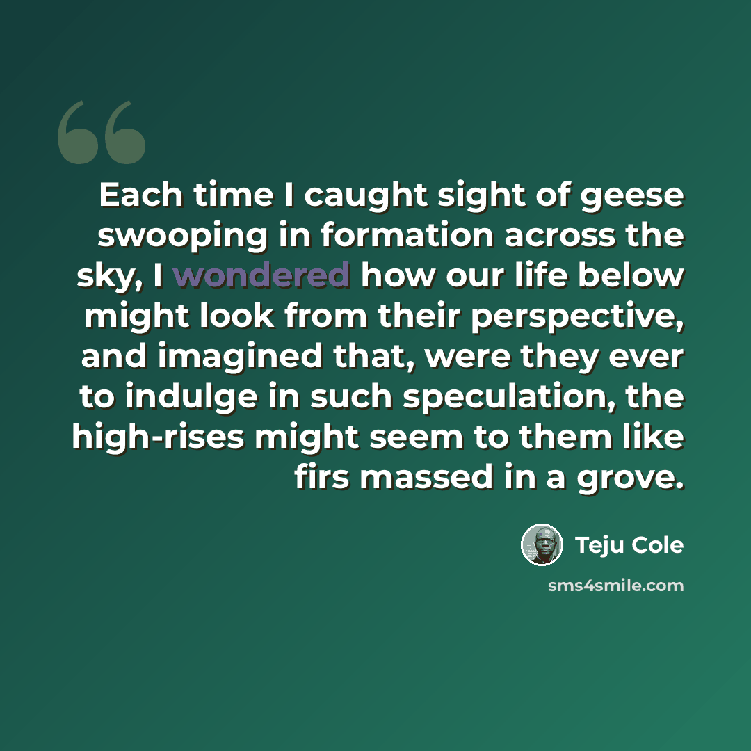 “Each time I caught sight of geese swooping in formation across the sky, I wondered how our life below might look from their perspective, and imagined that, were they ever to indulge in such speculation, the high-rises might seem to them like firs massed in a grove.” quote by Teju Cole
