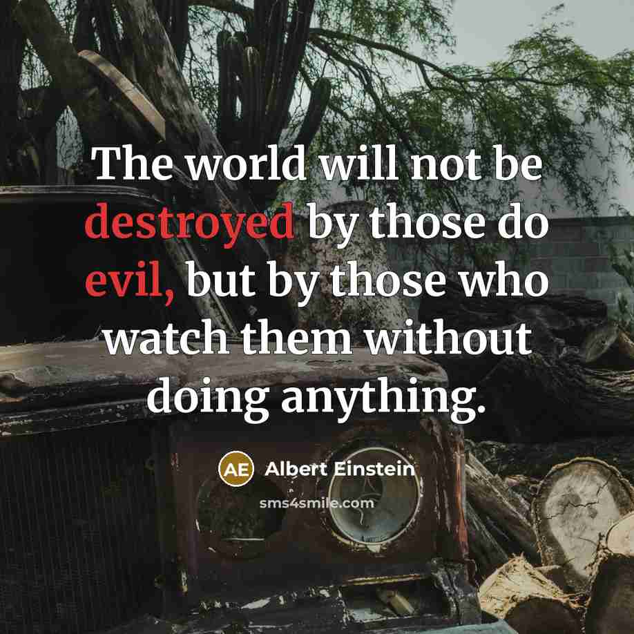 “The world will not be destroyed by those do evil, but by those who watch them without doing anything.” quote by Albert Einstein