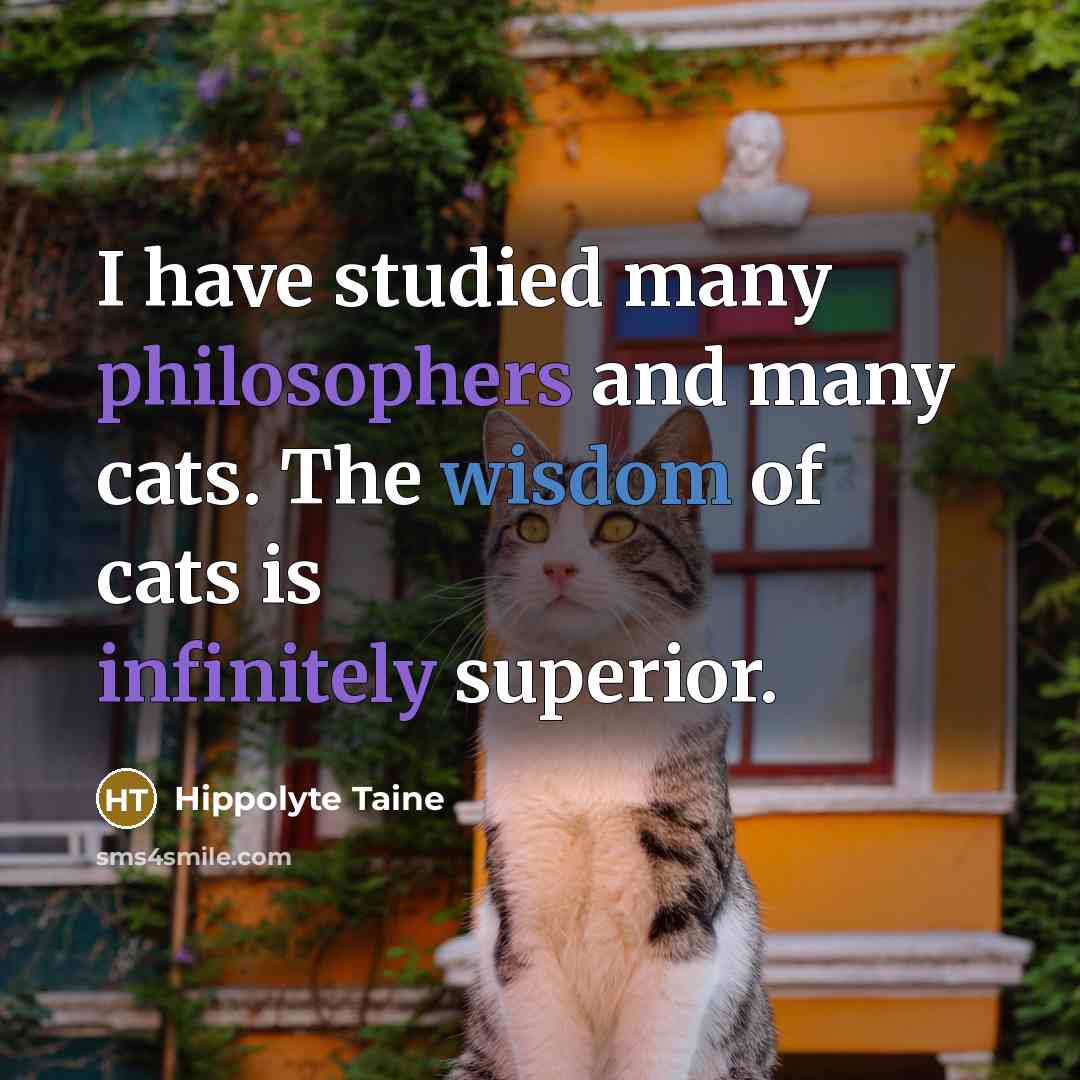“I have studied many philosophers and many cats. The wisdom of cats is infinitely superior.” quote by Hippolyte Taine