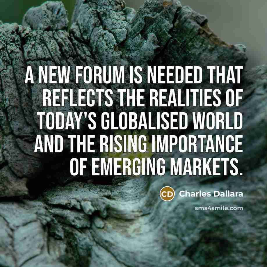“A new forum is needed that reflects the realities of today's globalised world and the rising importance of emerging markets.” quote by Charles Dallara
