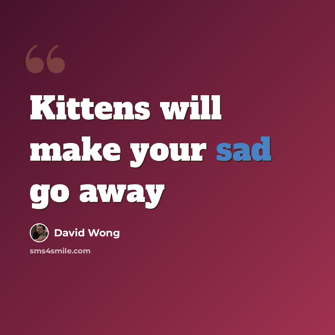 “Kittens will make your sad go away” quote by David Wong