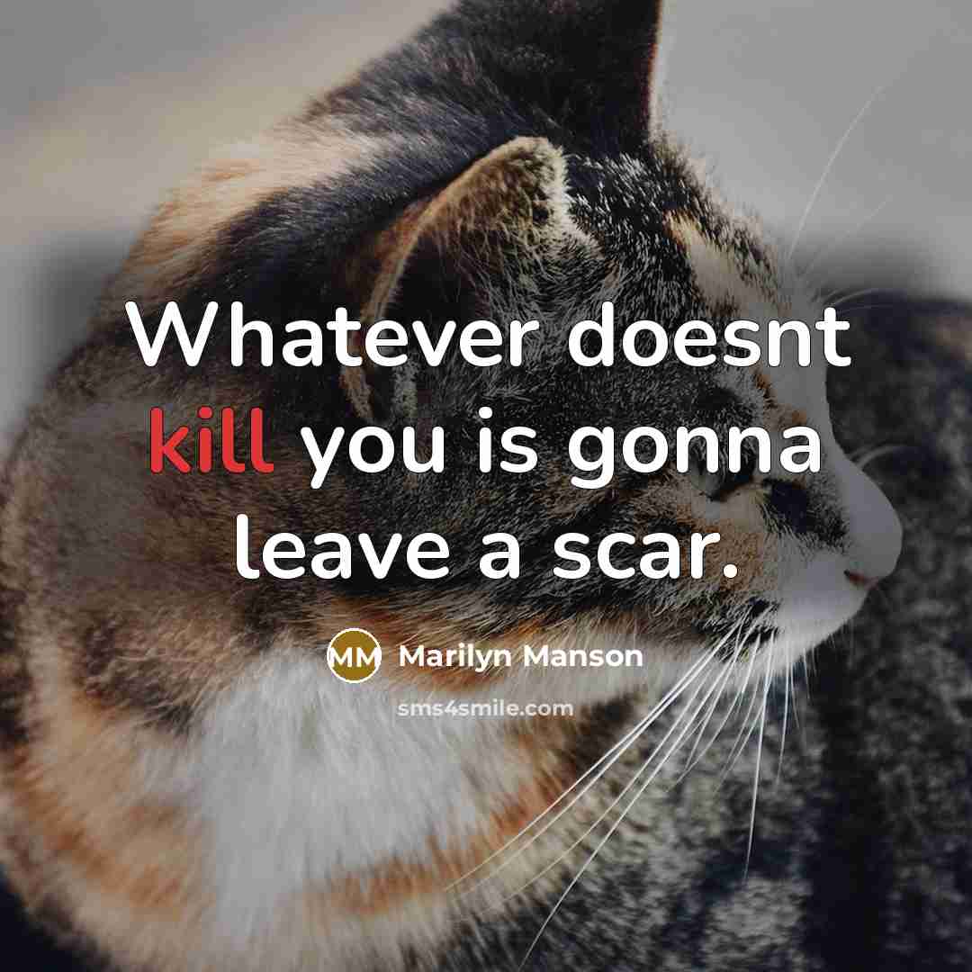 “Whatever doesnt kill you is gonna leave a scar.” quote by Marilyn Manson