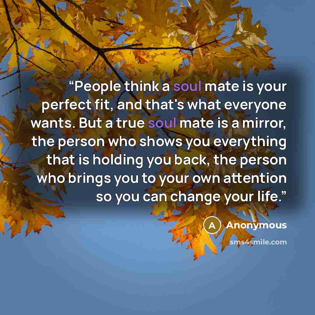 “People think a soul mate is your perfect fit, and that's what everyone wants. But a true soul mate is a mirror, the person who shows you everything that is holding you back, the person who brings you to your own attention so you can change your life.” quote by Anonymous