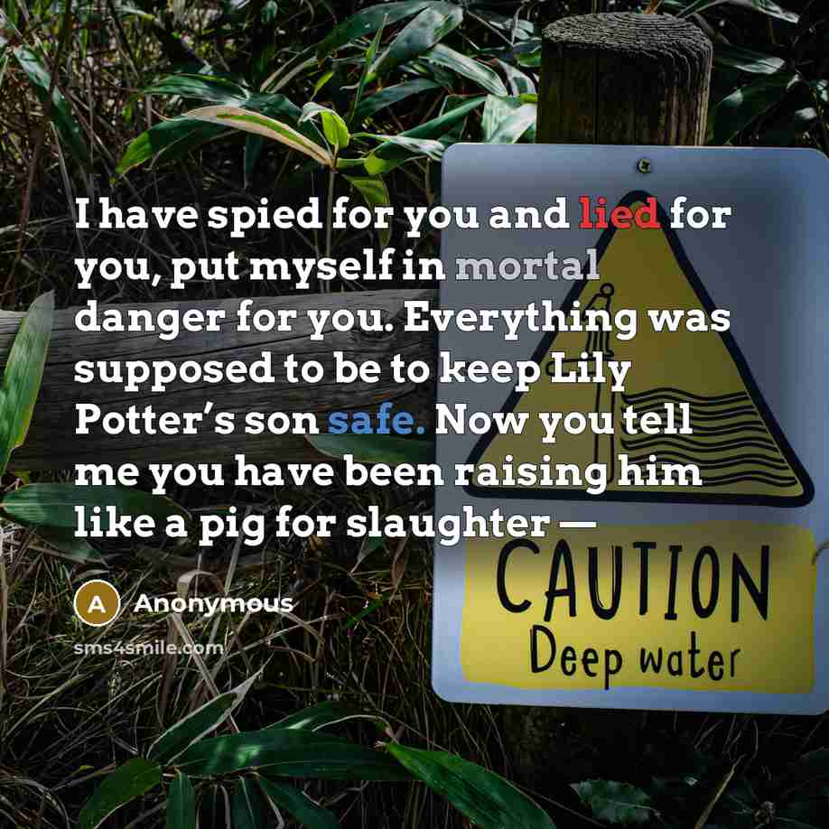 “I have spied for you and lied for you, put myself in mortal danger for you. Everything was supposed to be to keep Lily Potter’s son safe. Now you tell me you have been raising him like a pig for slaughter —” quote by Anonymous
