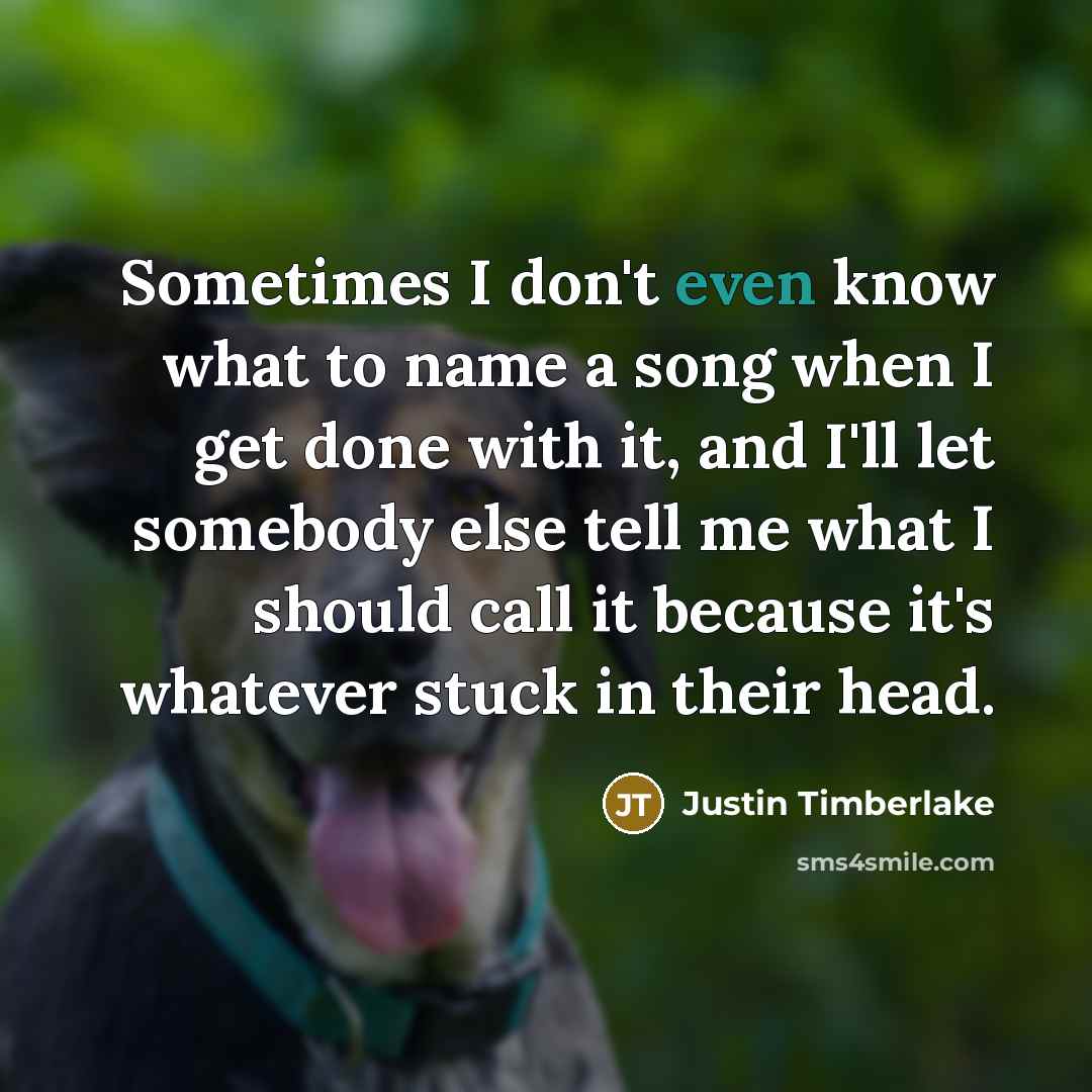 “Sometimes I don't even know what to name a song when I get done with it, and I'll let somebody else tell me what I should call it because it's whatever stuck in their head.” quote by Justin Timberlake