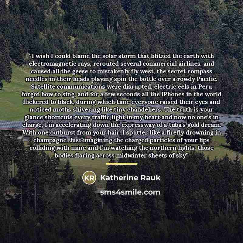 “I wish I could blame the solar storm that blitzed the earth with electromagnetic rays, rerouted several commercial airlines, and caused all the geese to mistakenly fly west, the secret compass needles in their heads playing spin the bottle over a rowdy Pacific. Satellite communications were…” quote by Katherine Rauk