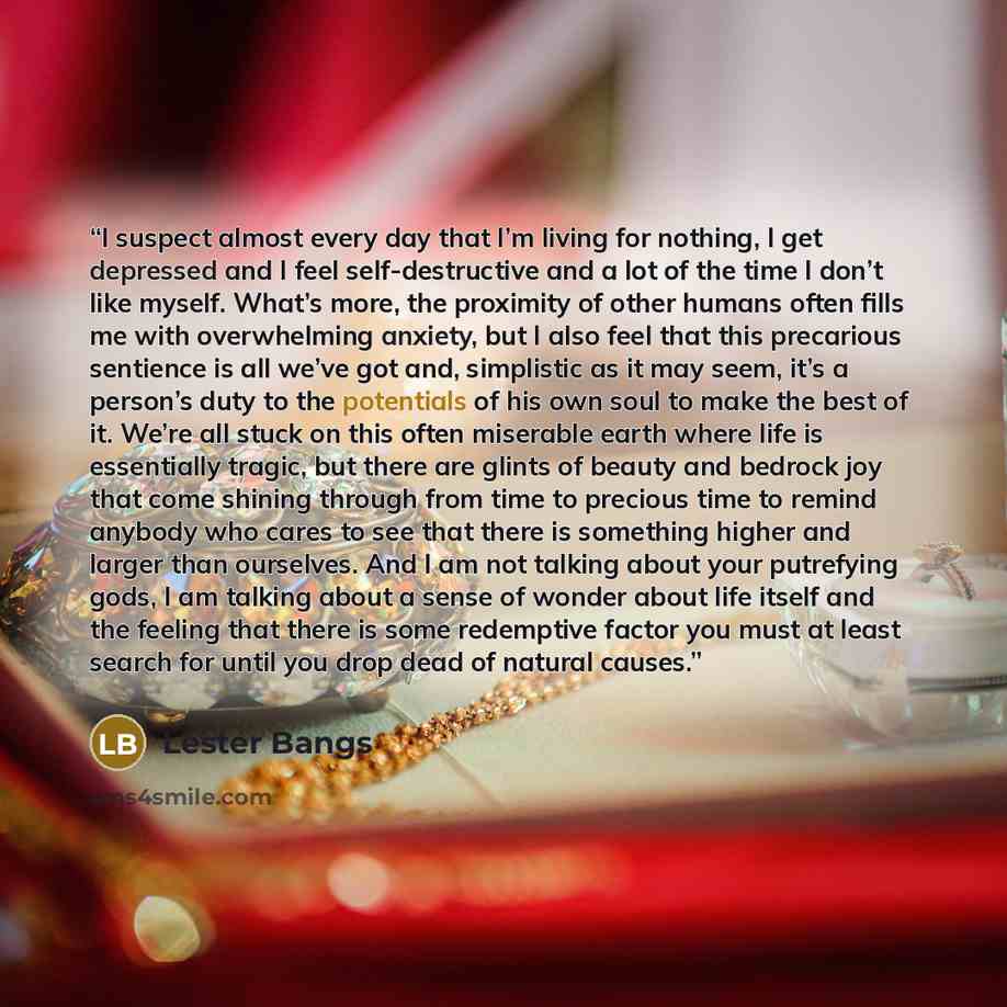 “I suspect almost every day that I’m living for nothing, I get depressed and I feel self-destructive and a lot of the time I don’t like myself. What’s more, the proximity of other humans often fills me with overwhelming anxiety, but I also feel that this precarious sentience is all we’ve got and…” quote by Lester Bangs