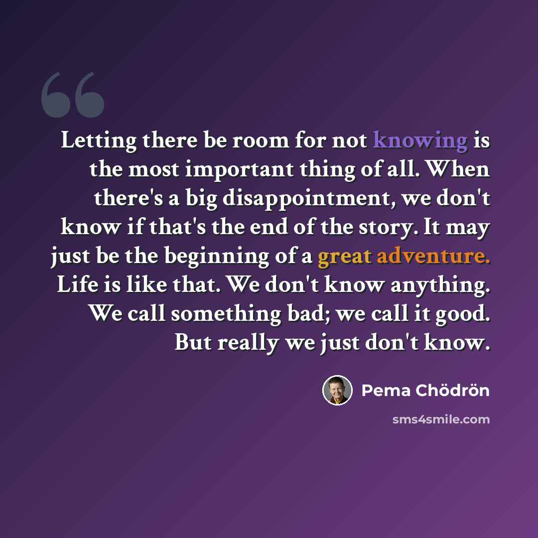 “Letting there be room for not knowing is the most important thing of all. When there's a big disappointment, we don't know if that's the end of the story. It may just be the beginning of a great adventure. Life is like that. We don't know anything. We call something bad; we call it good. But…” quote by Pema Chodron