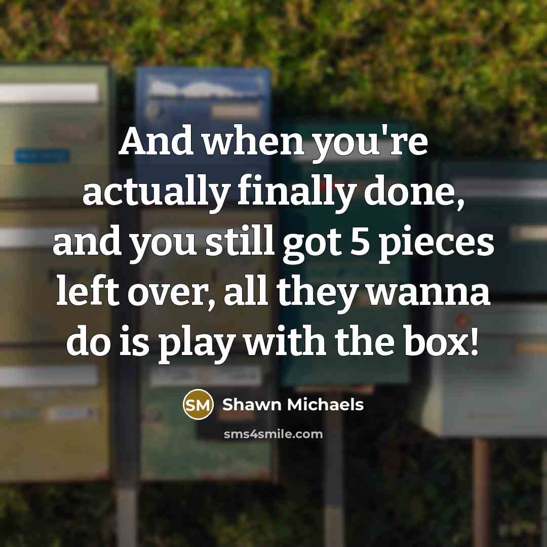 “And when you're actually finally done, and you still got 5 pieces left over, all they wanna do is play with the box!” quote by Shawn Michaels