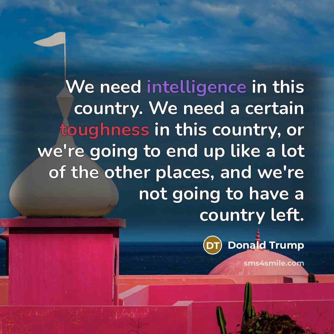 “We need intelligence in this country. We need a certain toughness in this country, or we're going to end up like a lot of the other places, and we're not going to have a country left.” quote by Donald Trump