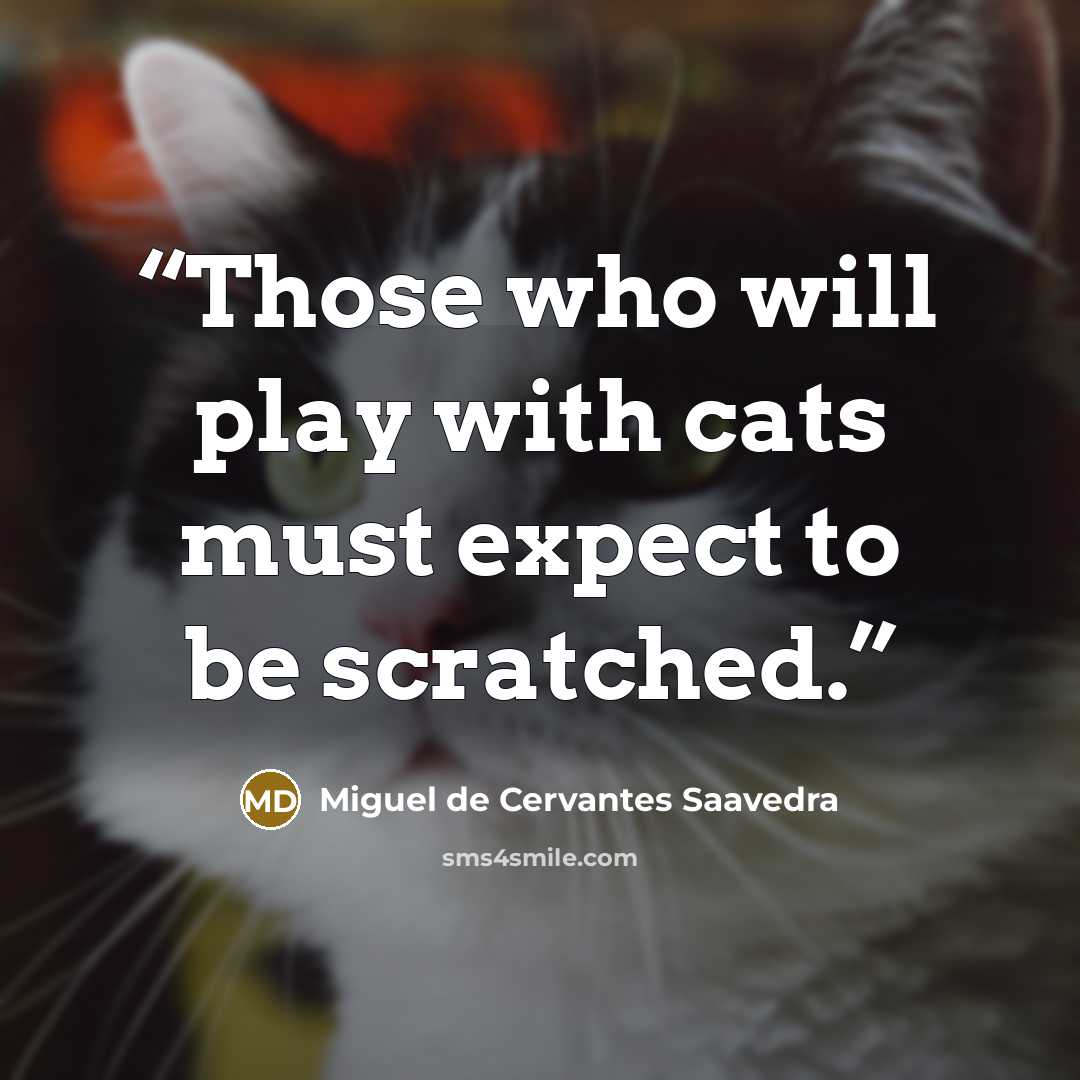 “Those who will play with cats must expect to be scratched.” quote by Miguel de Cervantes Saavedra