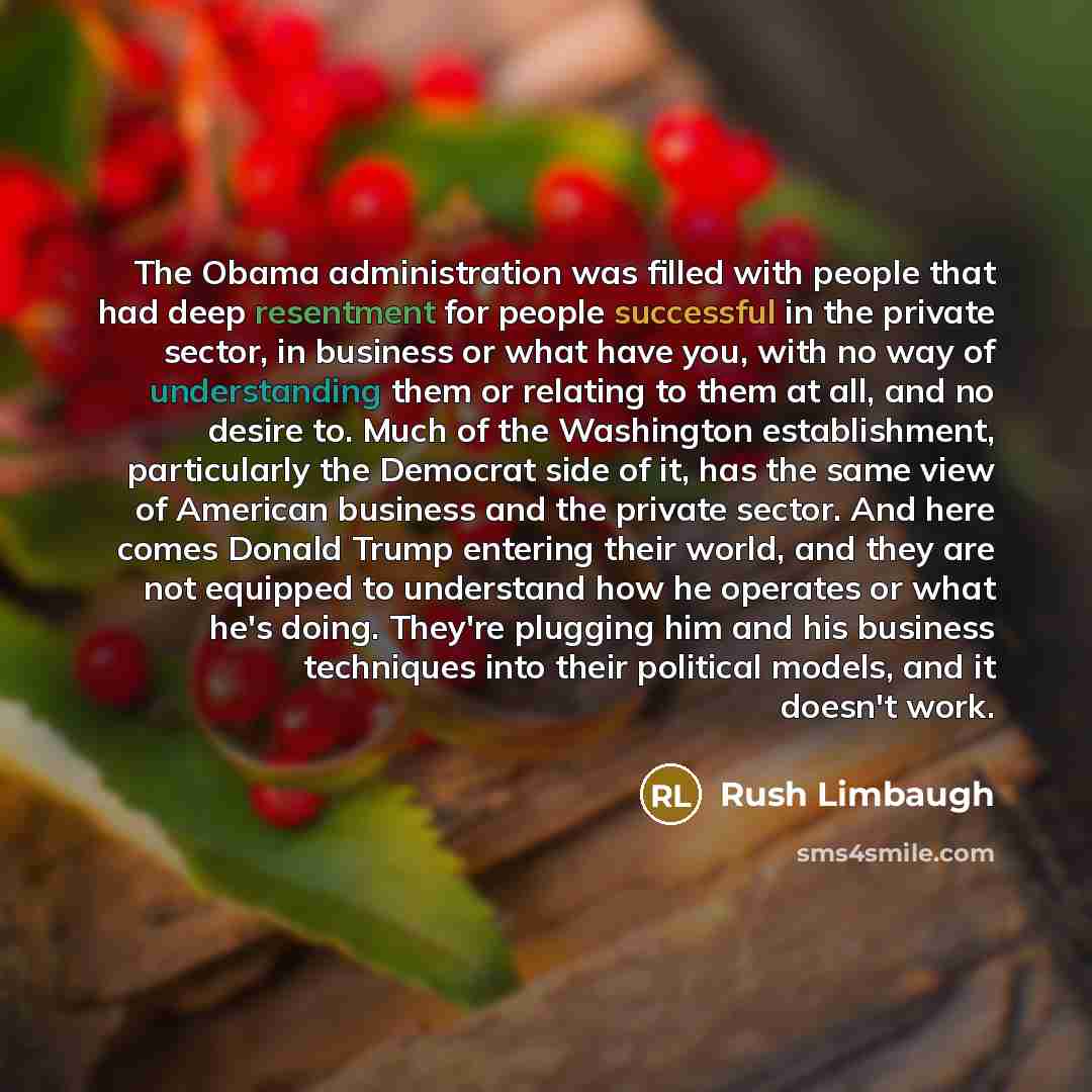 “The Obama administration was filled with people that had deep resentment for people successful in the private sector, in business or what have you, with no way of understanding them or relating to them at all, and no desire to. Much of the Washington establishment, particularly the Democrat side…” quote by Rush Limbaugh