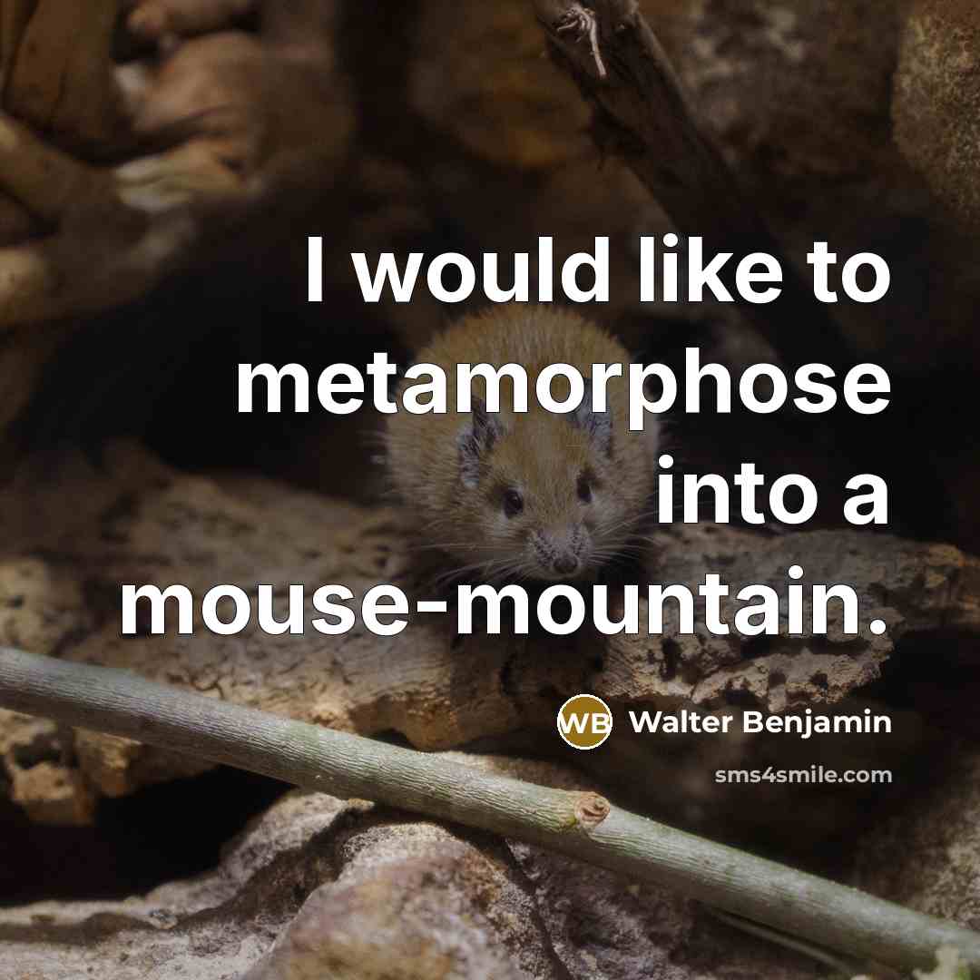“I would like to metamorphose into a mouse-mountain.” quote by Walter Benjamin