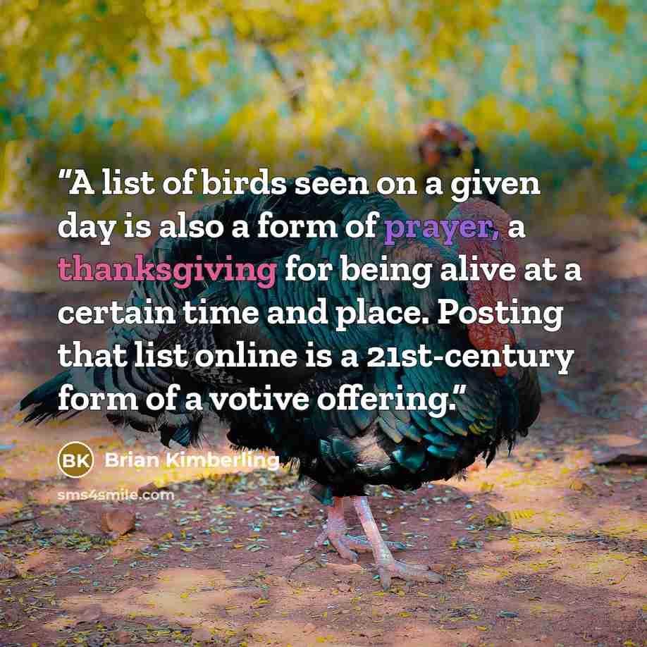 “A list of birds seen on a given day is also a form of prayer, a thanksgiving for being alive at a certain time and place. Posting that list online is a 21st-century form of a votive offering.” quote by Brian Kimberling