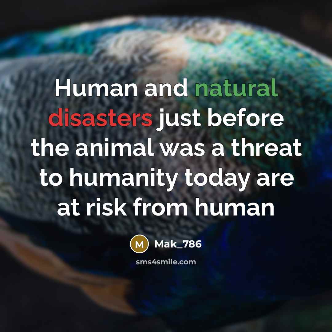 “Human and natural disasters just before the animal was a threat to humanity today are at risk from human” quote by Mak_786