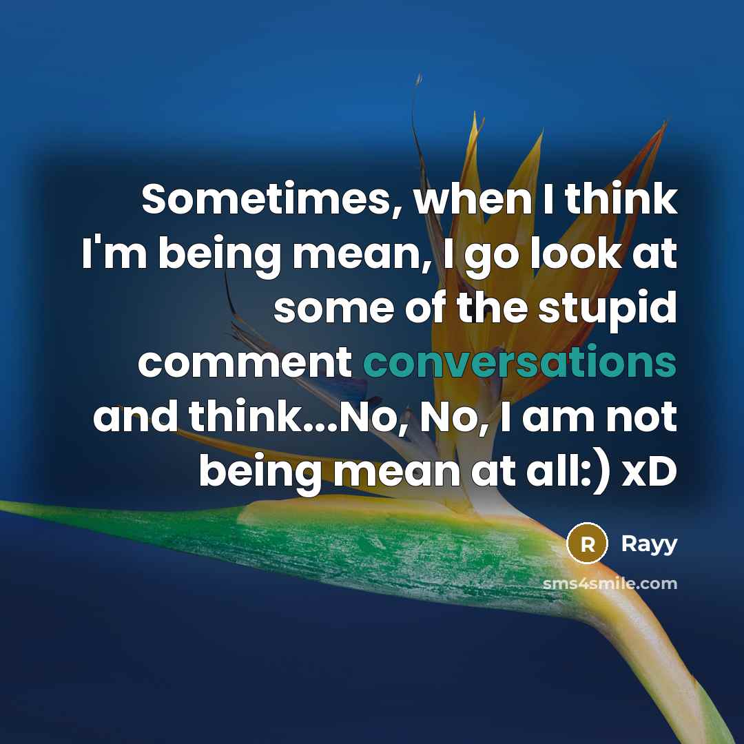 “Sometimes, when I think I'm being mean, I go look at some of the stupid comment conversations and think...No, No, I am not being mean at all:) xD” quote by Rayy