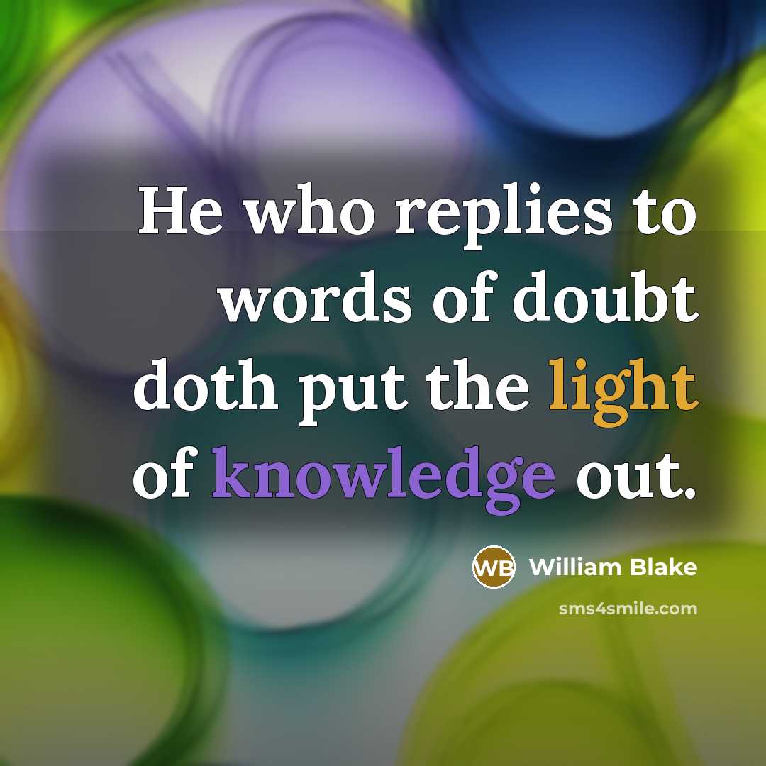 “He who replies to words of doubt doth put the light of knowledge out.” quote by William Blake