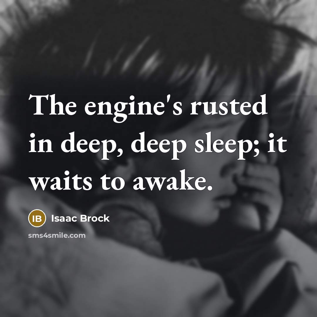 “The engine's rusted in deep, deep sleep; it waits to awake.” quote by Isaac Brock
